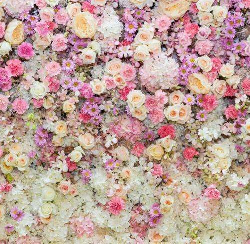 هیچکس تورو دست نمیزنم تورو نفس میشکم