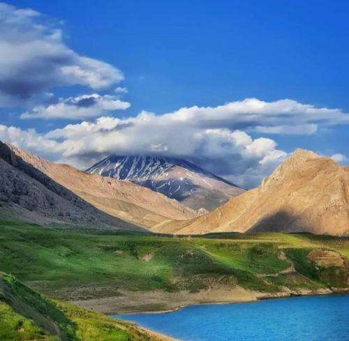 رضا شیری زشته نرو