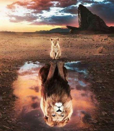 شایع عقده ای