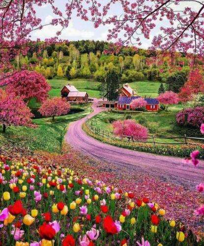 جواد نکایی بمیرن ته فامیلون مره ها کردنه بد نوم