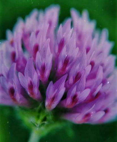 تی ام بکس بازم تو گوشم حرف زد میگه دلم برات ضعف کرد