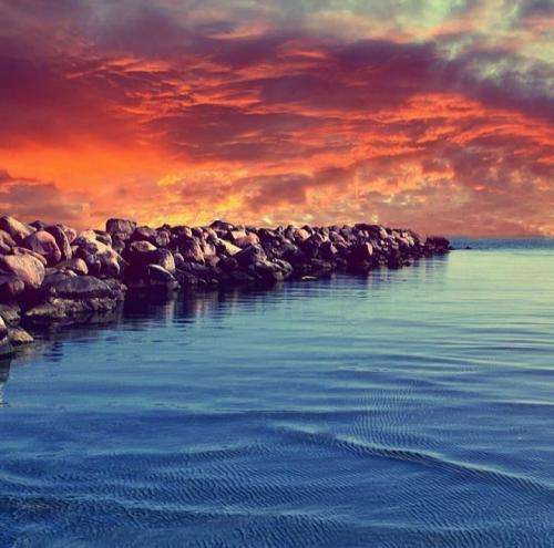 هیپهاپولوژیست دراکولا