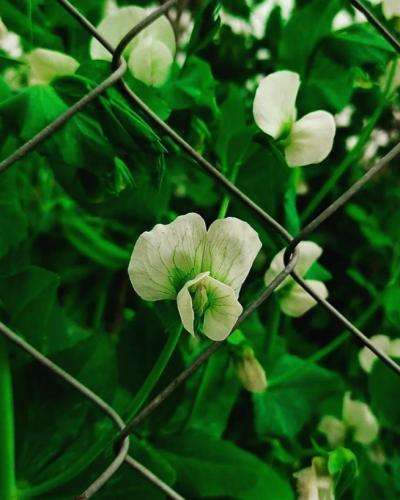 ابی عالی آخی آخی اسم ته انه می حال بد وونه