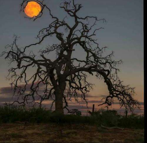 آذین بردیا حال بد