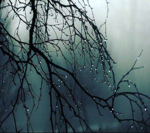 جیدال صداشو درنیار