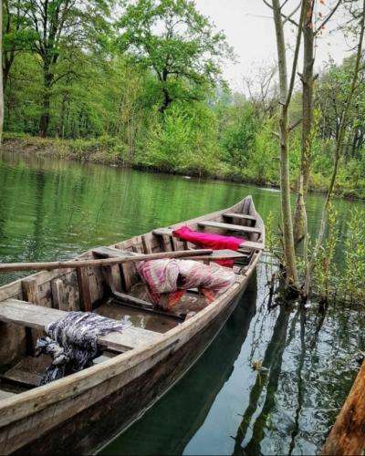 ریوان یهو نری دل بکنی بچه شیو