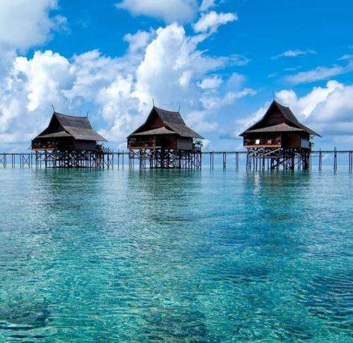 راغب دوست دارم پاشم از خوابو تموم شه دردامو