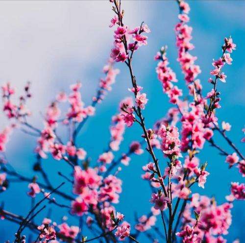 کیوان و پیام عباسی یه ساله ارام مردیده دوس داشتنت مهم نیه ارام