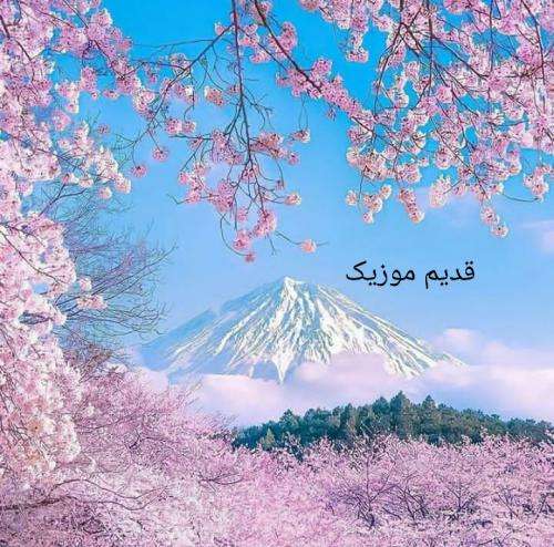 حمید هیراد ای دورترین ناجی قلبم سلامت کردم