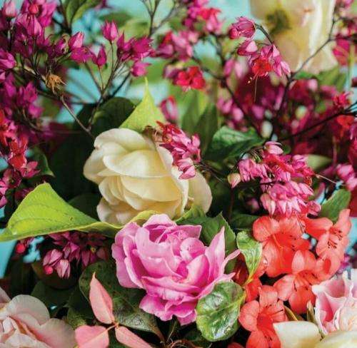 ارشاد خط فقر