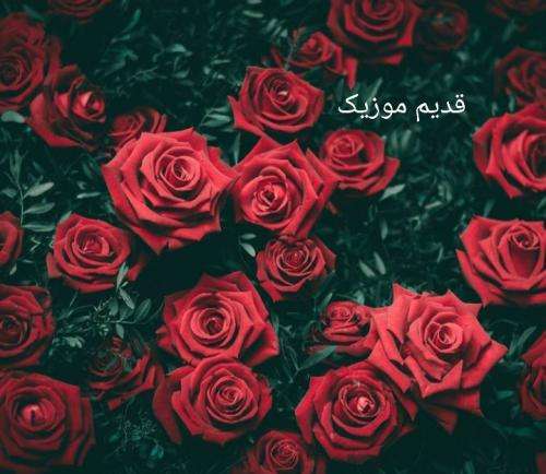 مستان یه زن با یک جهان درگیر میشه