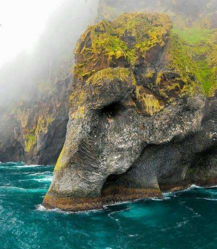 زانکو تا نگام میکنی می فهمی به چی فکر میکنم