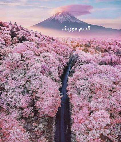 عرفان طهماسبی ای رویایم تو بیا تو بیا تو بیا با من