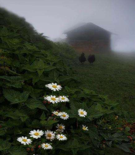 معین زد همه میگن پدرخونده واسه چی خودزنی کرده