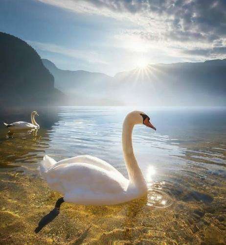 علی یاسینی حتی با تو خوبه کار غلط