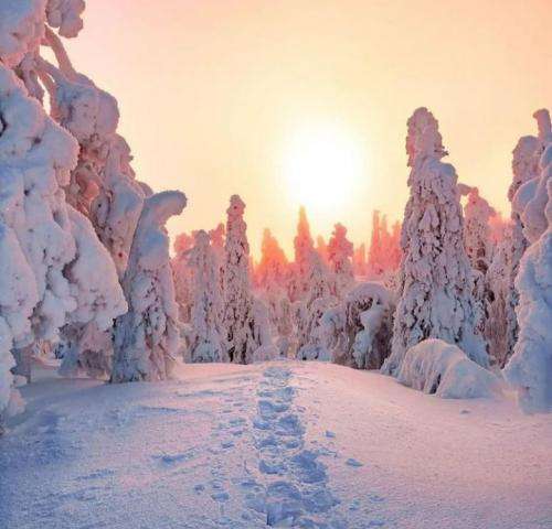 یوسف زمانی پدر