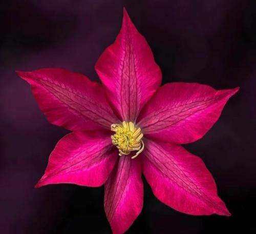 امیر عظیمی دلم تنگه زمستونه سفر رفتی بیا خونه