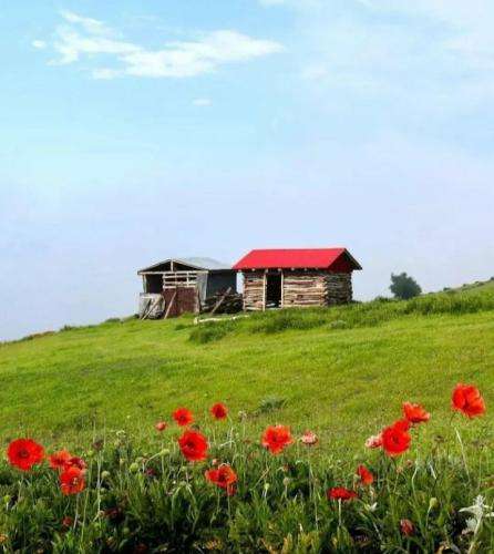 رضا پیشرو جز کلمه ها هیچ نیست وقتی رید نیست که نزدیک شیم