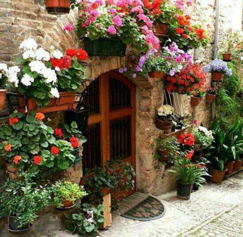 یانگ صادن زندگی در گمبرون