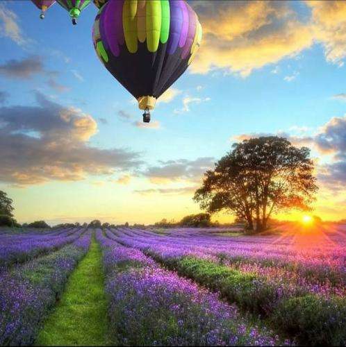 پویان جی سی با من بمون