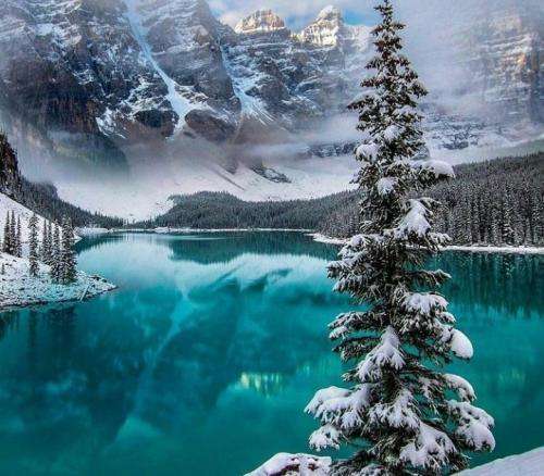 حامیم آی ستاره آی ستاره پشت کدوم ابری بیا که کاره