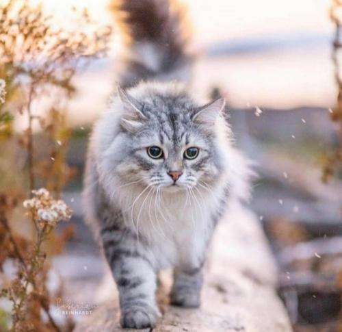 امیر تتلو یه ور حس بدهی یه ور آب و برق و کوفت و استرس