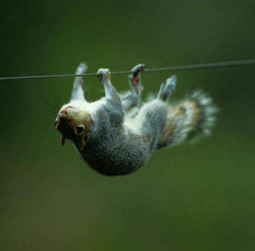 یوسف زمانی دلبر عشق اول و آخر تو شدی انتخابم