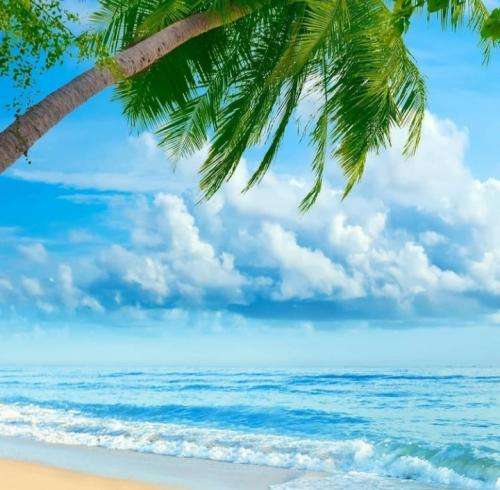 هیپهاپولوژیست گنگستر پول داره جیبش پر تراوله شاگرد دکتر بوده هر کی وارده