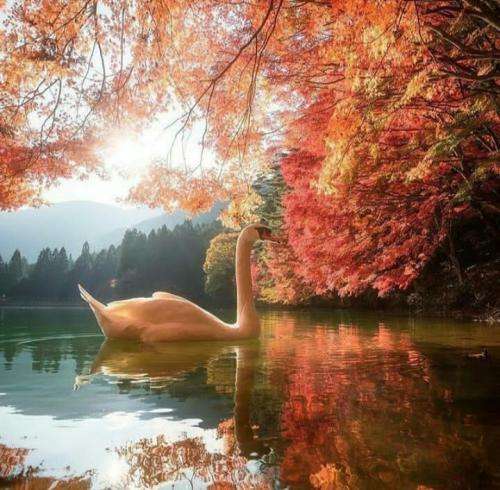 هیپهاپولوژیست اینم واسه دزدا باهام ندارن نسبت یک رپ فارس شدم لابد بوده قسمت