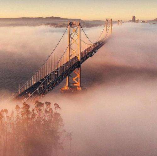 میلاد بابایی به جونم قسم به همه چيزايی كه نميدونم قسم