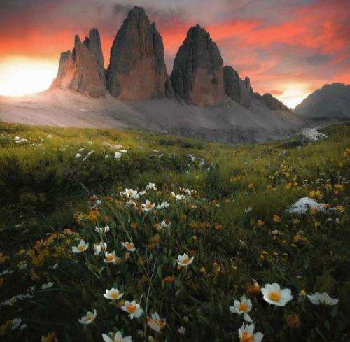 رضا کرمی تارا میخانه