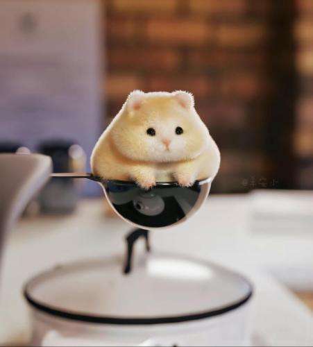 امیر تتلو تو فقط بردی لب چشمه تشنه گذاشتی به شرط آزادی