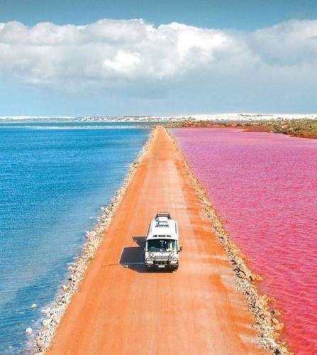 فدایی خیابون دست مردم میمونه این بار مقاومت میکنیم تا سرنگونی