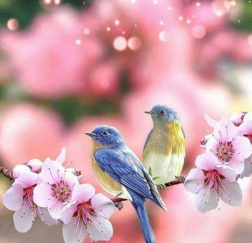 ۰۲۱کید چند باریم کردن تهدیدم