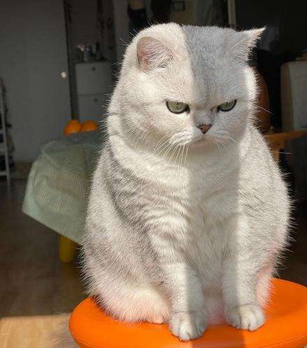 معین زد مال منی بذار نگات کنم تورو یه عالمه