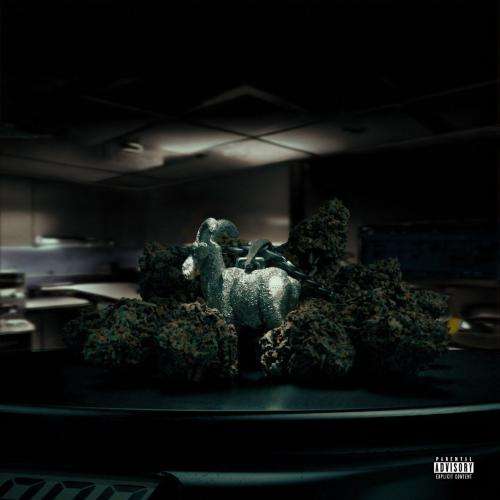 ویناک زیر جی