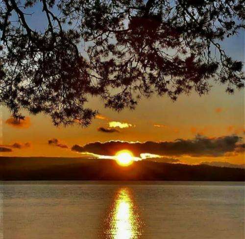 مسلک حل شدم لایه لحظه هام همه چیو دو دستی سپردم دسته باد 