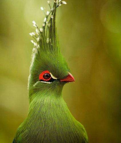 آیسم دوس ندارم ببینه آسیب یکی بیاد بگه بهش زو