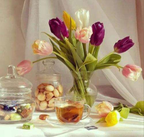 شایان اشراقی واسه خاطر من کوتاه نیومدی یه لحظه اصلا