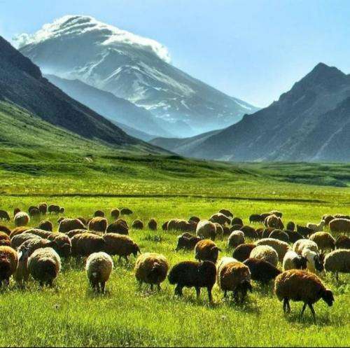 شایع ما که نمیجنگیم واسه نفت حق میخوایم از این خاک ارس