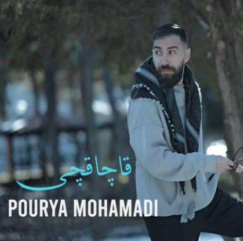 پوریا محمدی قاچاقچی