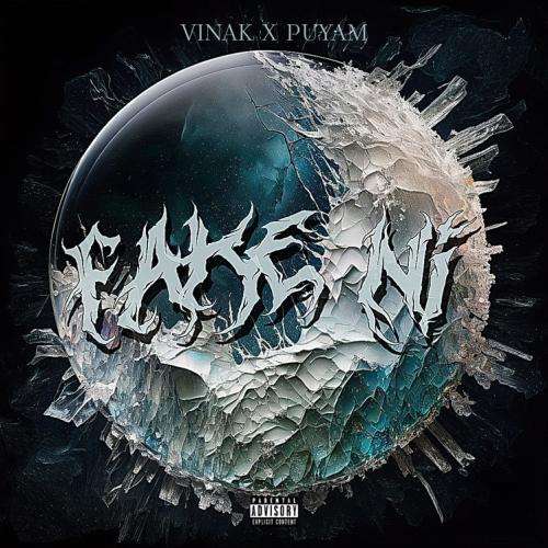 ویناک فیک نی