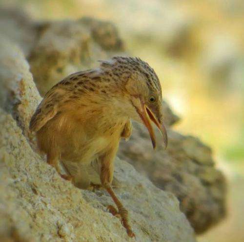 مسلک اول سلامتی اونا که بودنو نیستن عشقی که گونمو خیس کرد