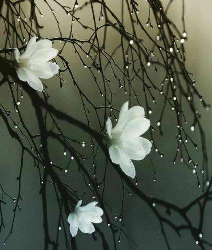 علیرضا جی جی میگن خاطره داریم جی ما با صدتا کارت