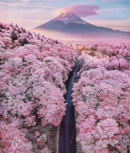 شاهین نجفی نخوا ازم که با این وعده ها خام شم