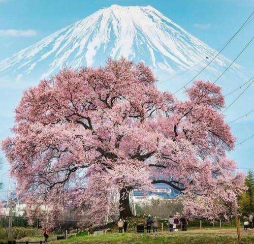 اردلان طعمه اگه سنگم بباره جای بارون تا تهش هستم کنارت تا خیابون