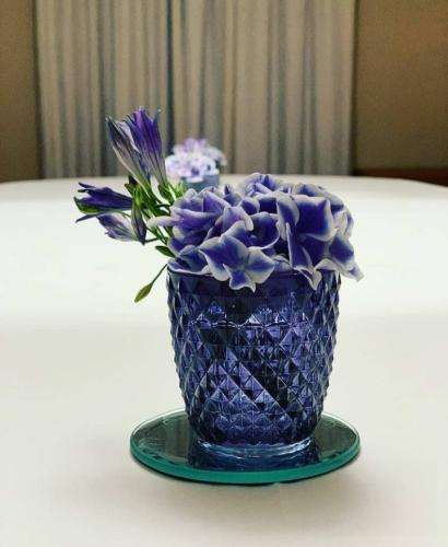 مهراد هیدن اونی برده که برا چیزی که میخواد تا ته گازو پر کنه