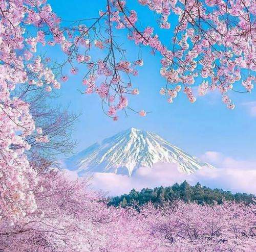 اندی آروم بگیر