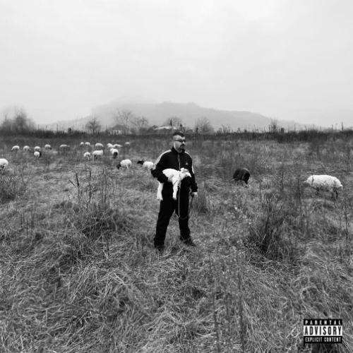 پوری همشون فیکن حرفاشون شعار