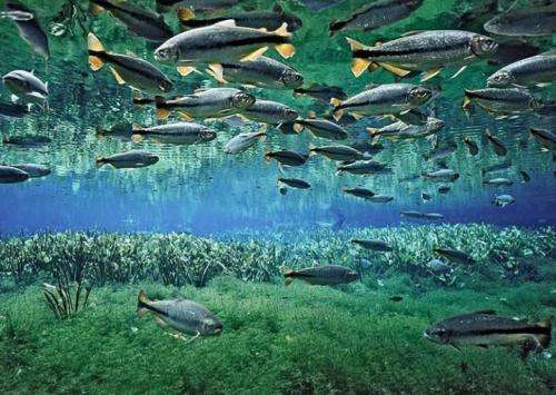 مسلک ته استکانم تلخه همه جوره به یاد همه رفیقای رفته